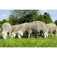 Juhháló javítókészlet, zöld színű