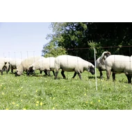 TitanLight Net juh háló kettős csúcs, 90 cm