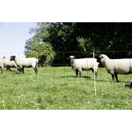 TitanLight Net juh háló egyes csúcs, 90 cm