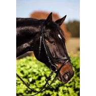 Kantár bőr, fekete, póninak