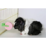 Nyalósó, tartóval, 80 g