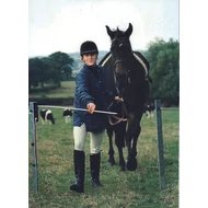 elektromos állatsorompó