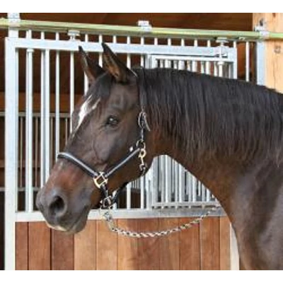 Mustang kötőfék fekete/ezüst 1