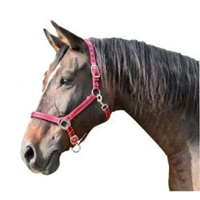 Mustang kötőfék piros/fekete 3