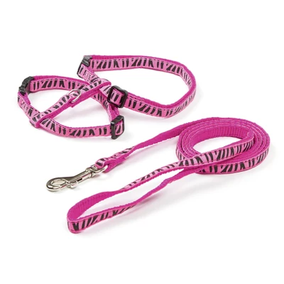 Cicahám pórázzal,