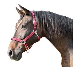 Mustang kötőfék piros/fekete 3